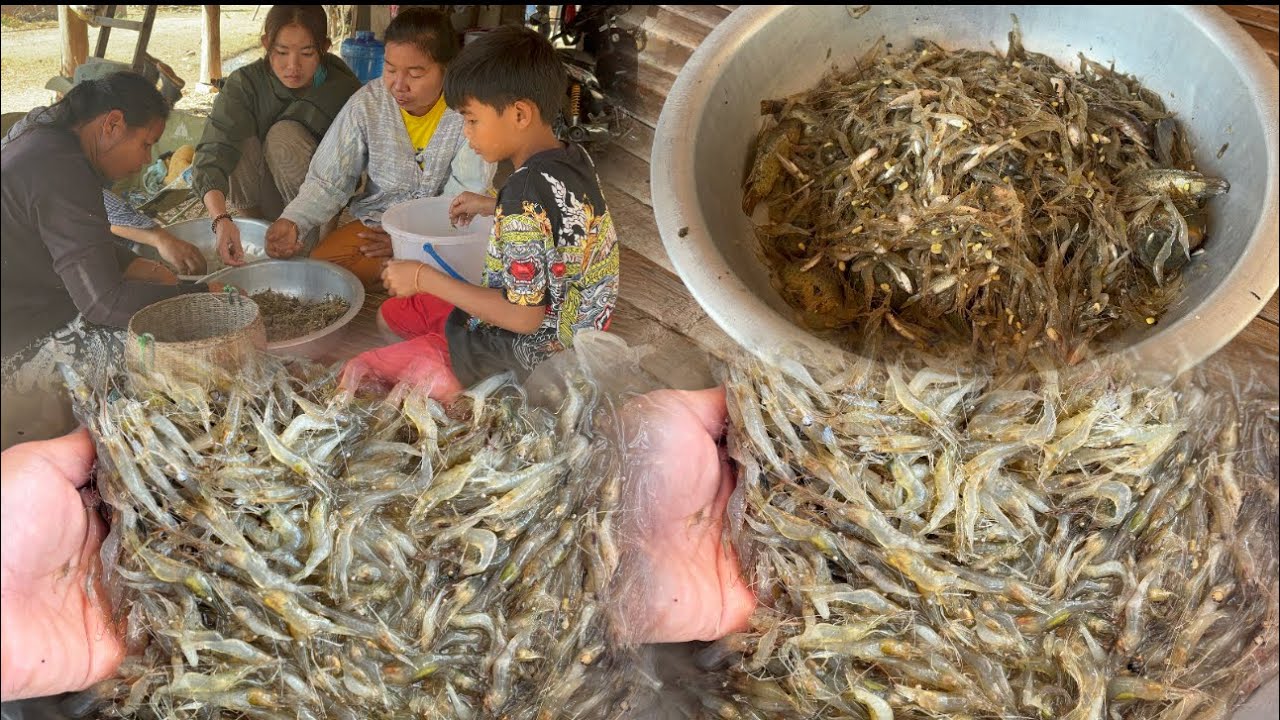 อิพ่ออิแม่ เพิ่งเคยเห็นกุ้งเยอะขนาดนี้🦐🦞🦞