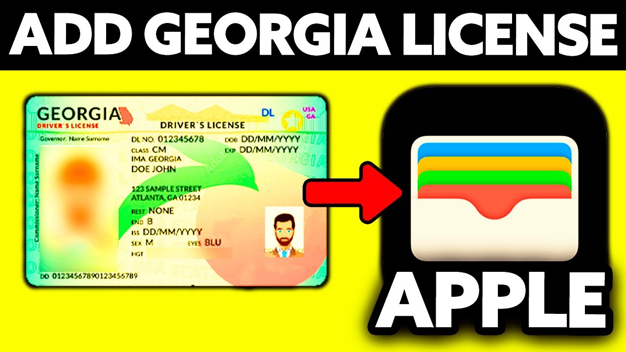 How To Add Georgia License to Apple Wallet (2025) - Step by Step