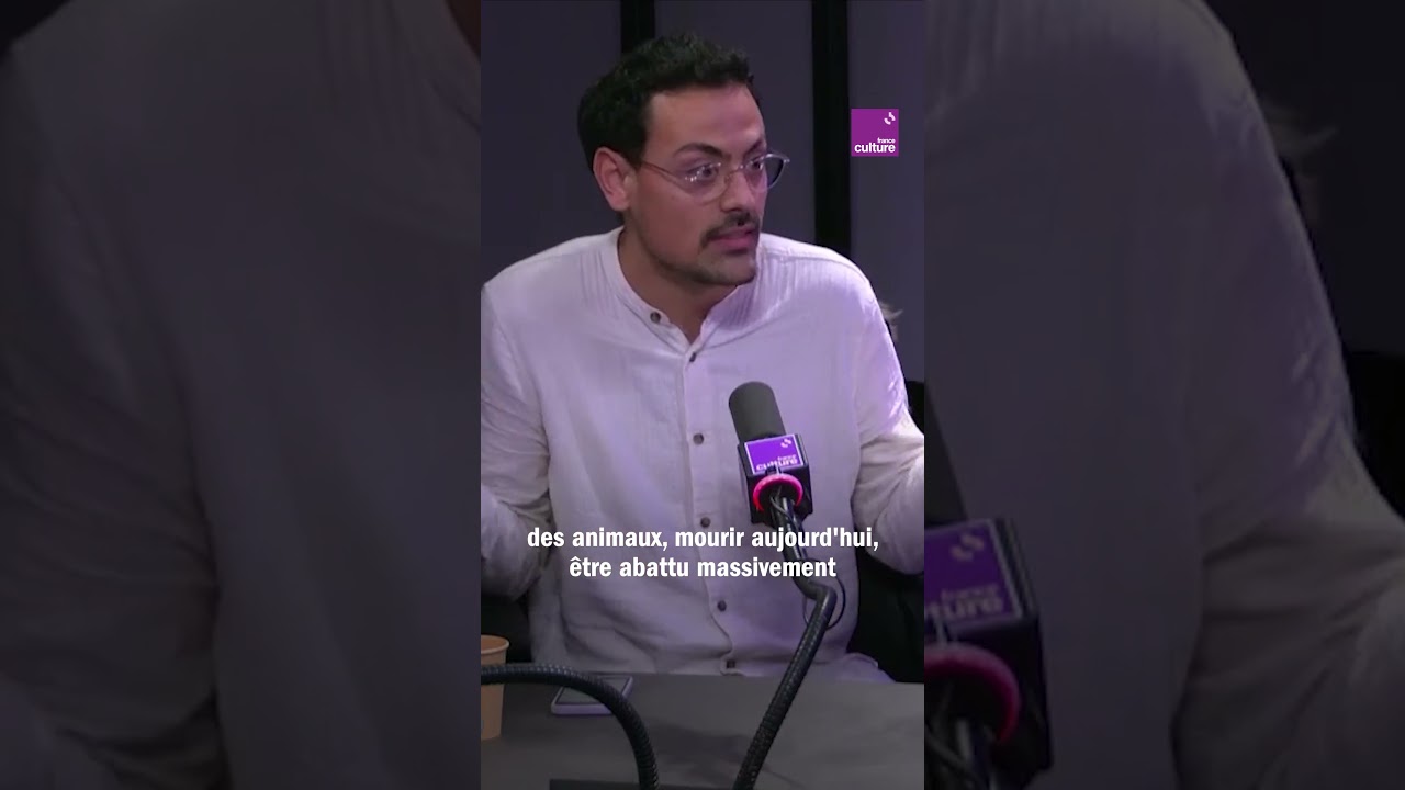 Dermatose nodulaire : le sp&eacute;cisme et l'abattage de masse des bovins