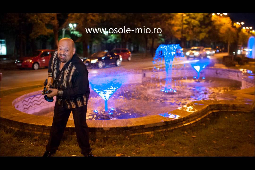 Maestrul Mielle Bibescu - Hora pentru toata lumea,Taraf Nunta,Taraf Botez,Trupa Nunta,Trupa Botez