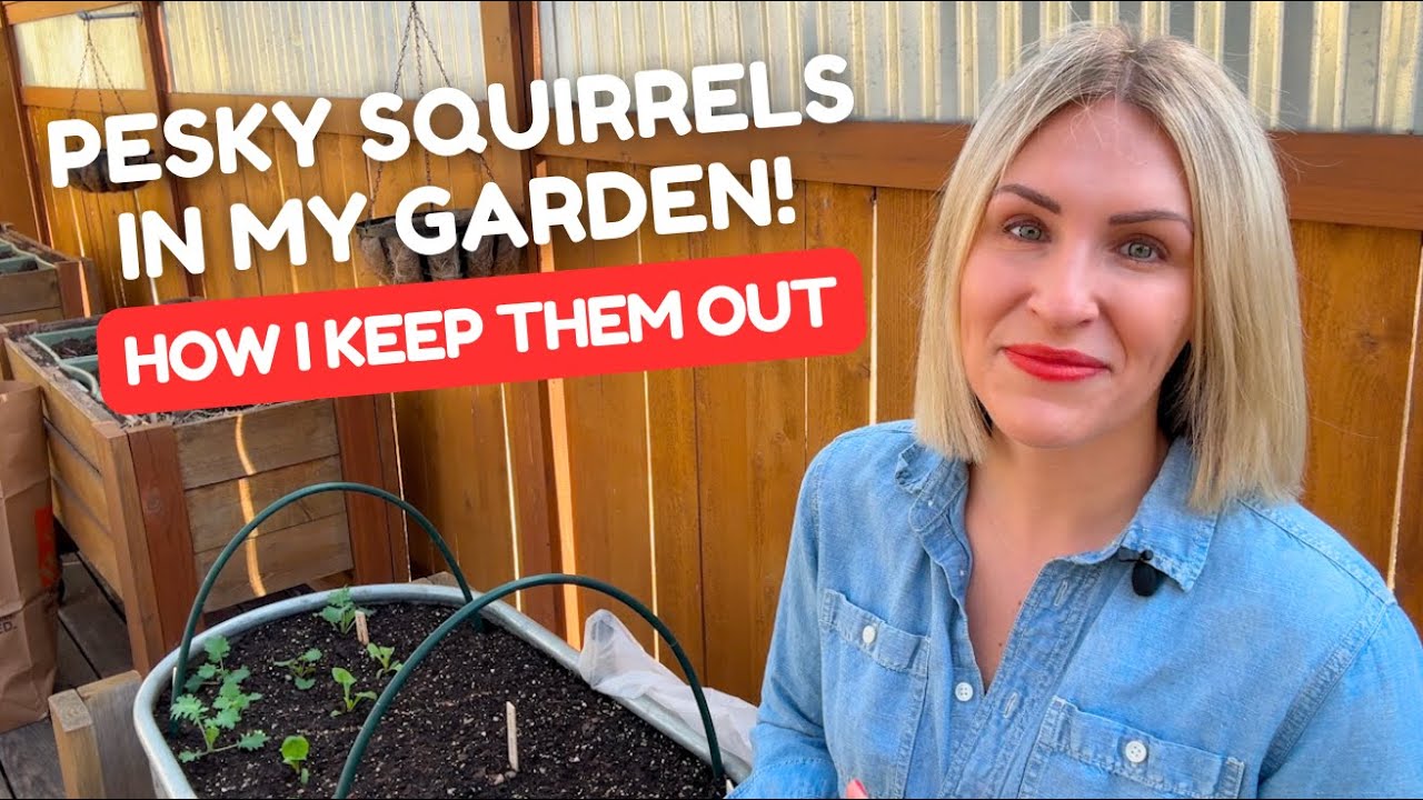 How I Keep Squirrels Out of My Vegetable Garden