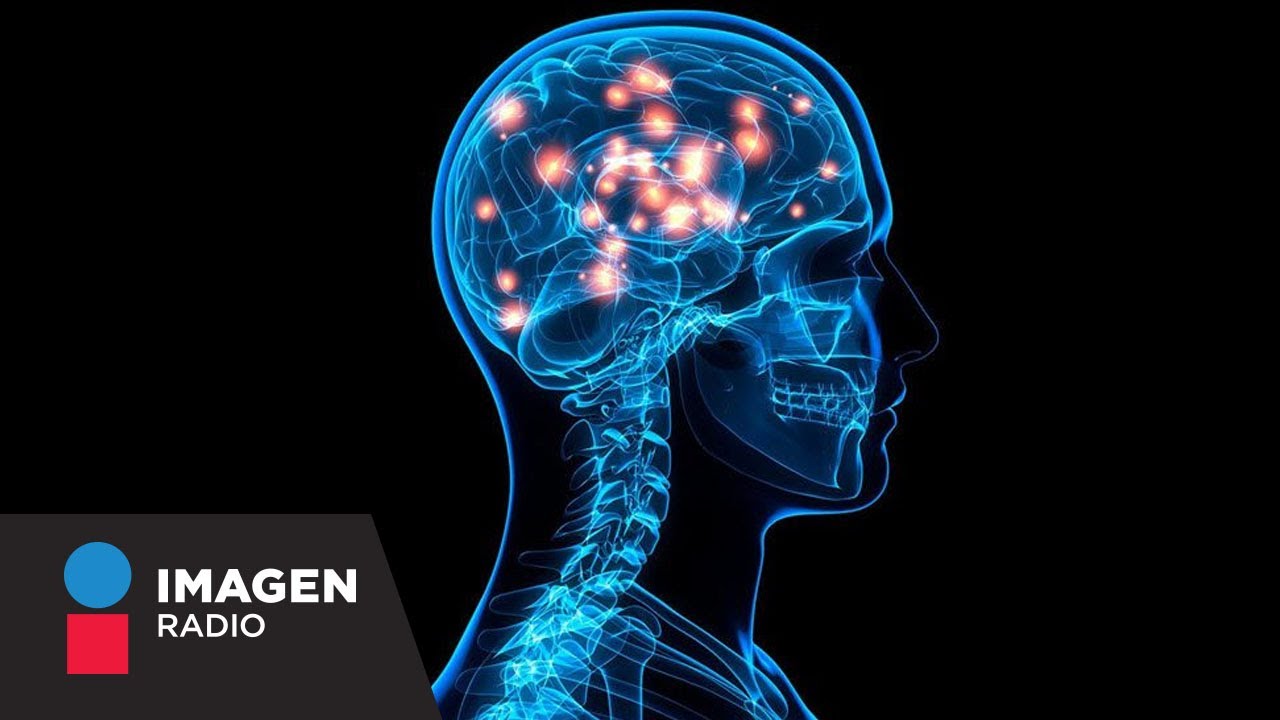 ¿Cuáles son las enfermedades neurodegenerativas? | ¡Qué tal Fernanda!