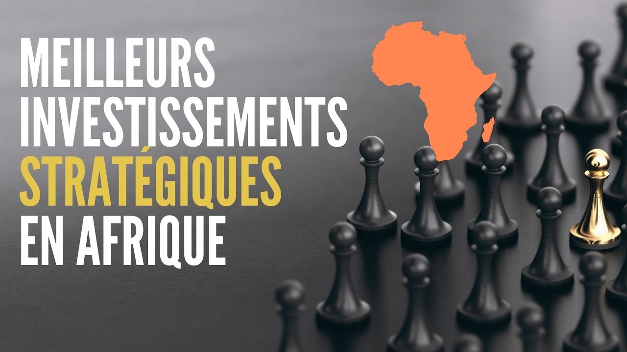 Voici le type de business que la diaspora doit faire au pays
