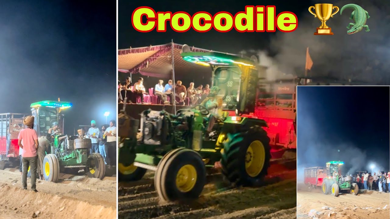 3 Cylinder Wich 1st 🥇Apna Crocodile 🐊 🔥| Both Sona Chalyea 🔥❤️| Lucky Goldsmith￼