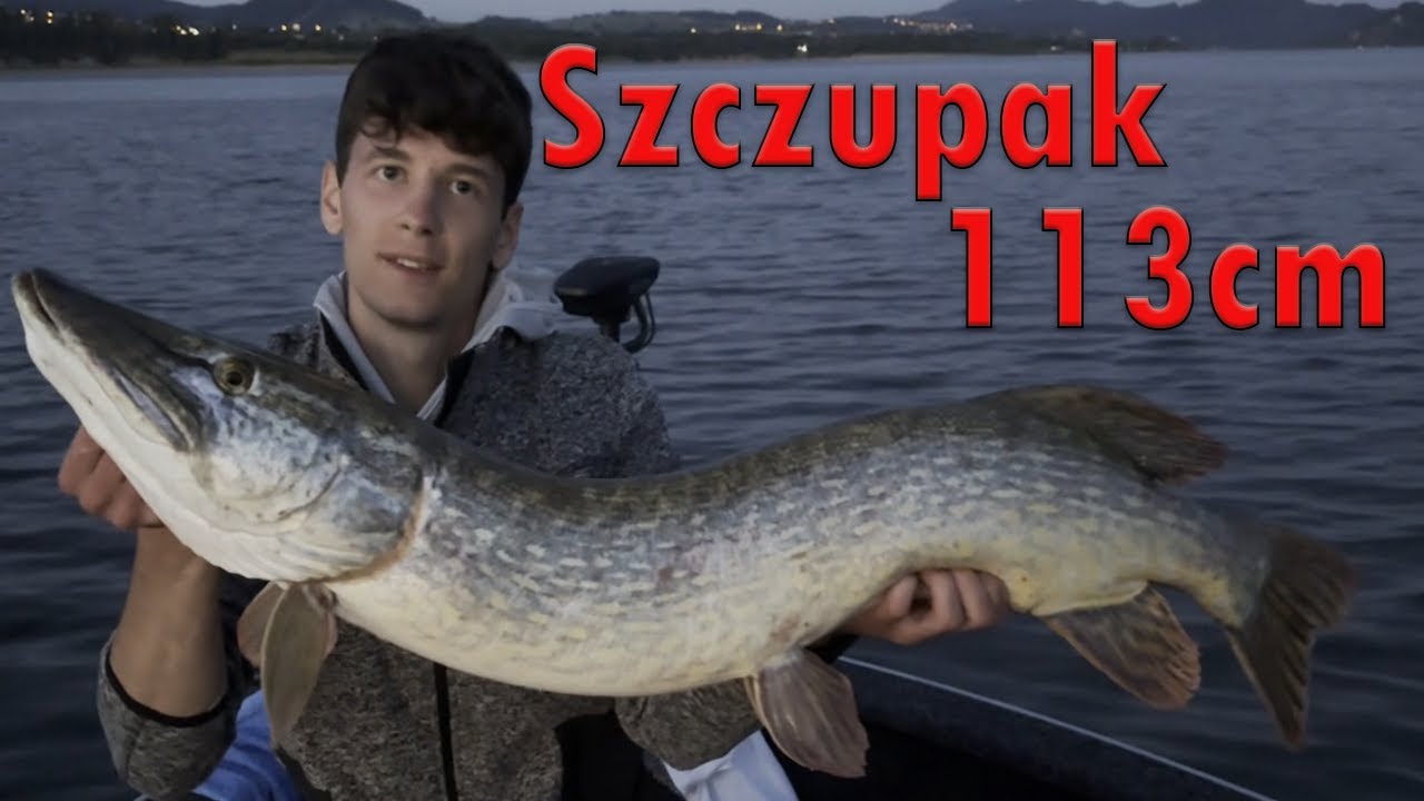 Złowiłem Smoka/ Sandacze i Szczupaki latem/ łowienie z livescope