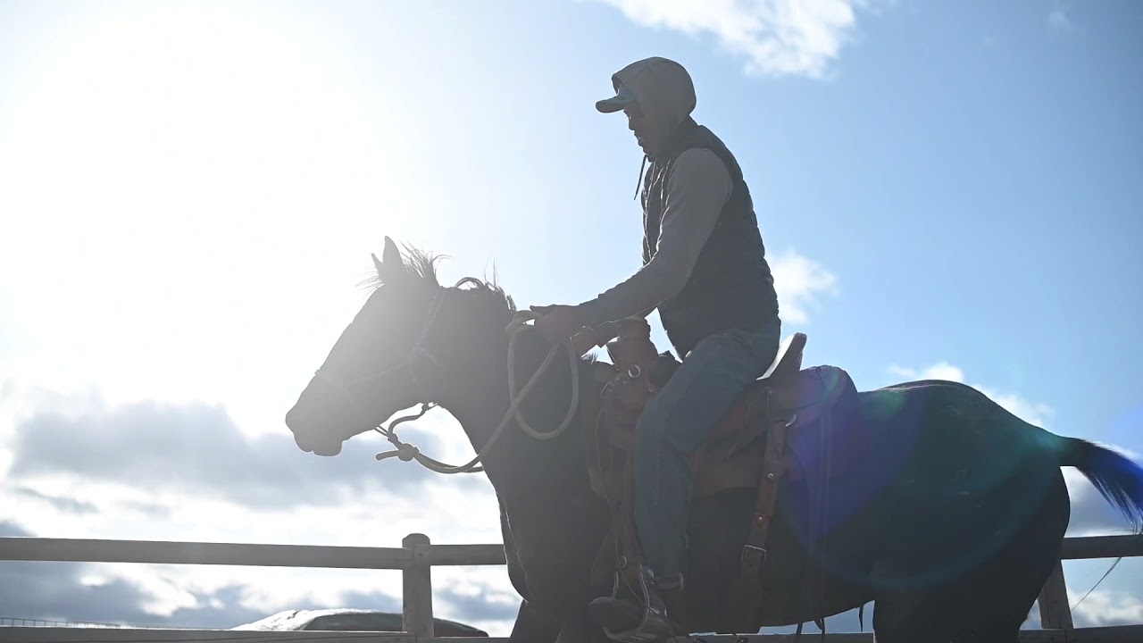 Apache - Camilles Horsemanship