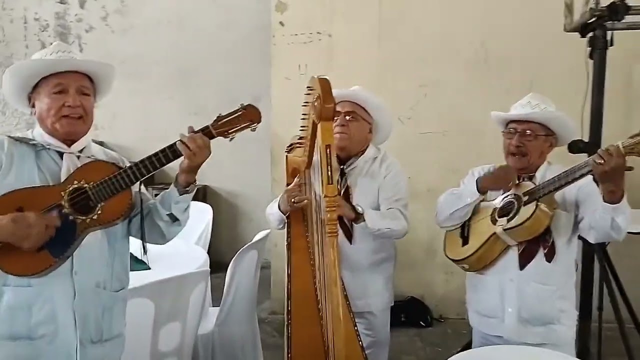 EL PÁJARO CÚ🐦 (Canción jarocha) Felipe Ochoa