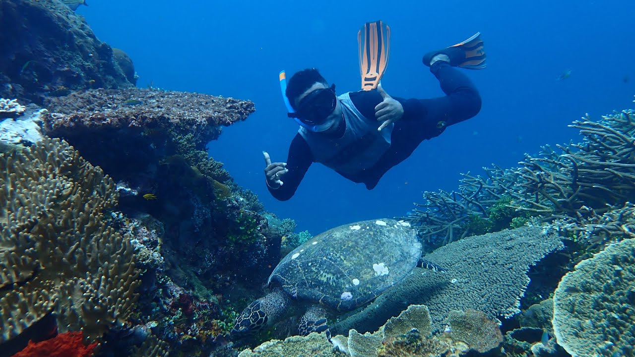 Highlights of three weeks travel in central area of Raja Ampat March 2024 (4K)