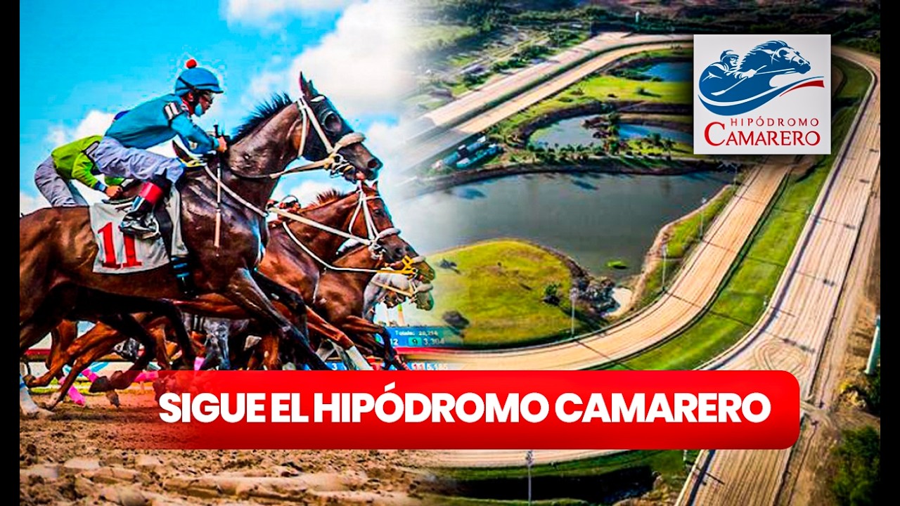 ANALISIS HIPODROMO CAMARERO LUNES, 02 DE MARZO 26.