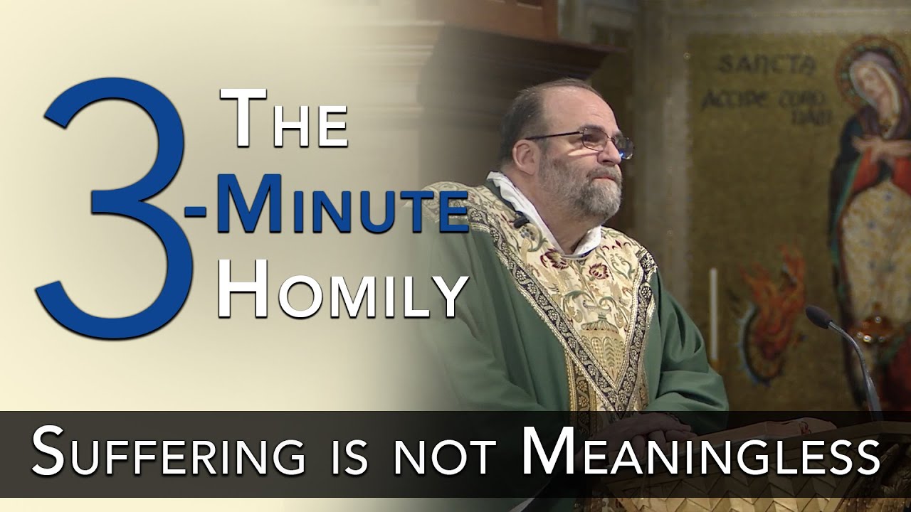 The 3-Minute Homily | Suffering Is Not Meaningless