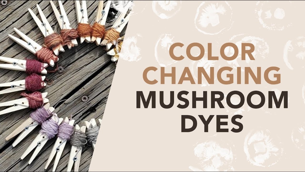 Color Changing Dye: Natural Fabric Dye with Mushrooms