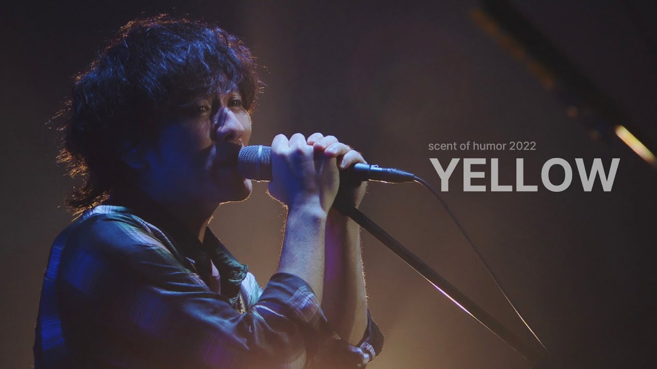 黄色 노란색 yellow - back number 백넘버 live 라이브 [자막]