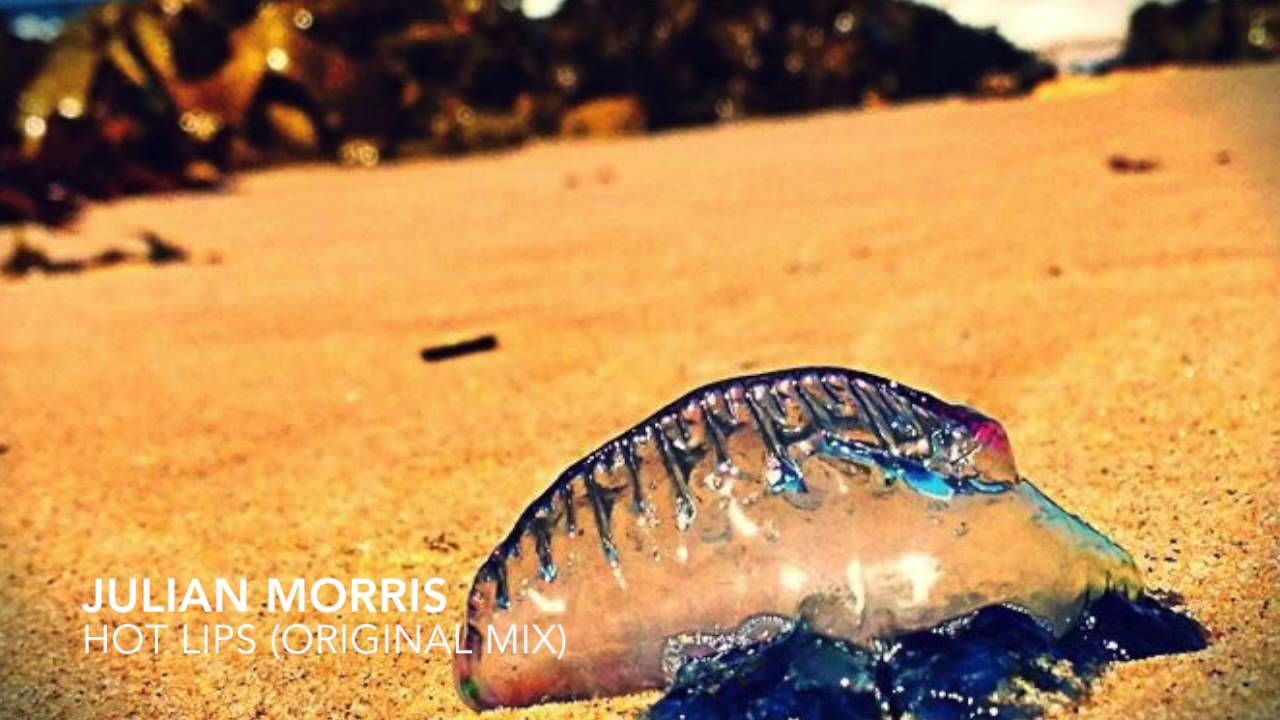 JULIAN MORRIS - HOT LIPS (Original Mix)
