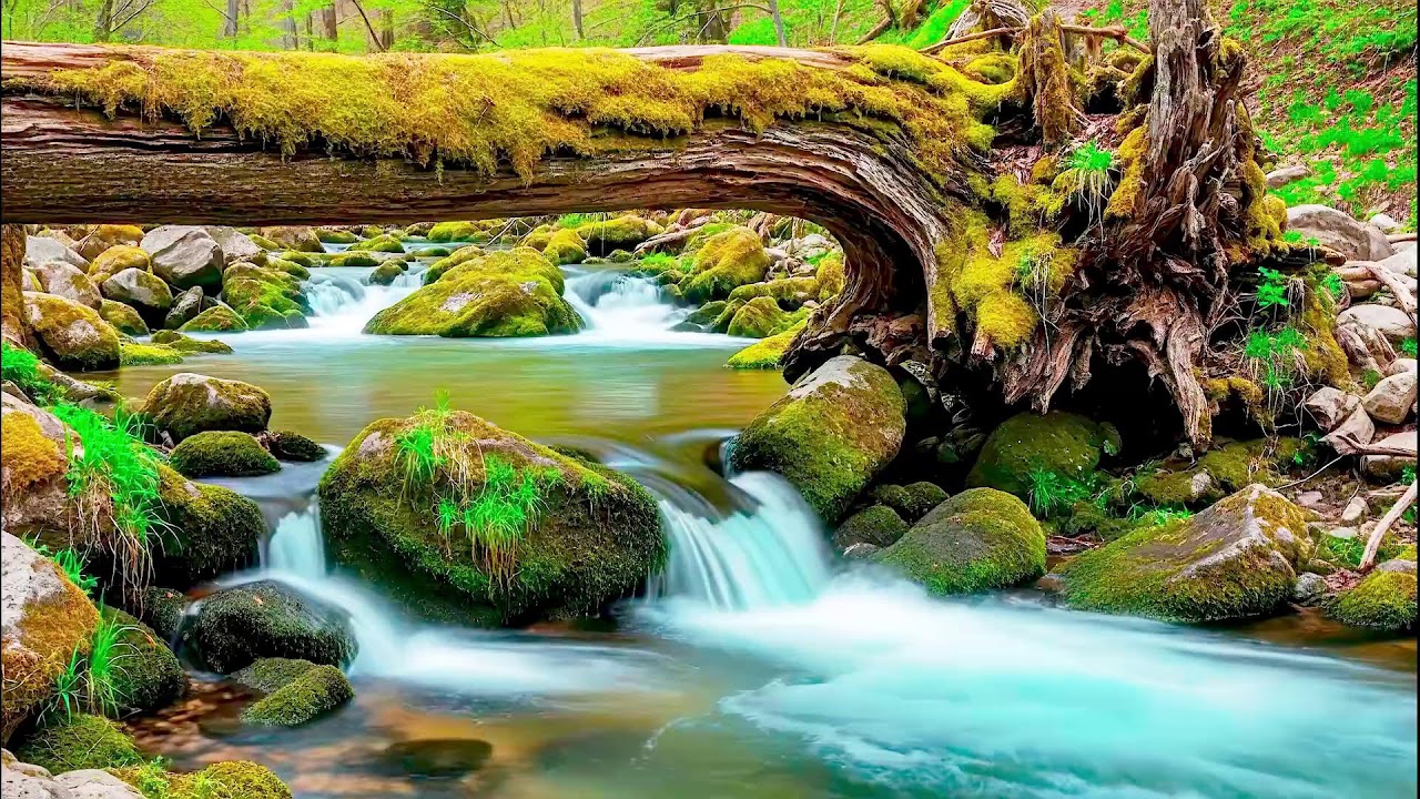 Flowing River Sound for Deep Sleep | Calm Nature Noise for Wellness and Sleep Aid