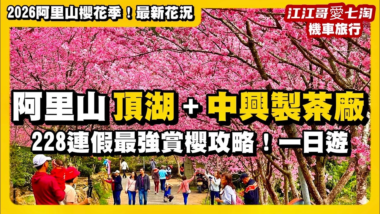 【江江哥愛七淘】機車旅行｜阿里山櫻花季賞櫻攻略｜奮起湖｜二延平｜228連假賞櫻｜中興製茶廠｜賞櫻阿里山一日遊｜頂湖自然生態區Taiwan travel🇹🇼台灣櫻花季景點｜嘉義美食｜嘉義景點｜賞櫻景點