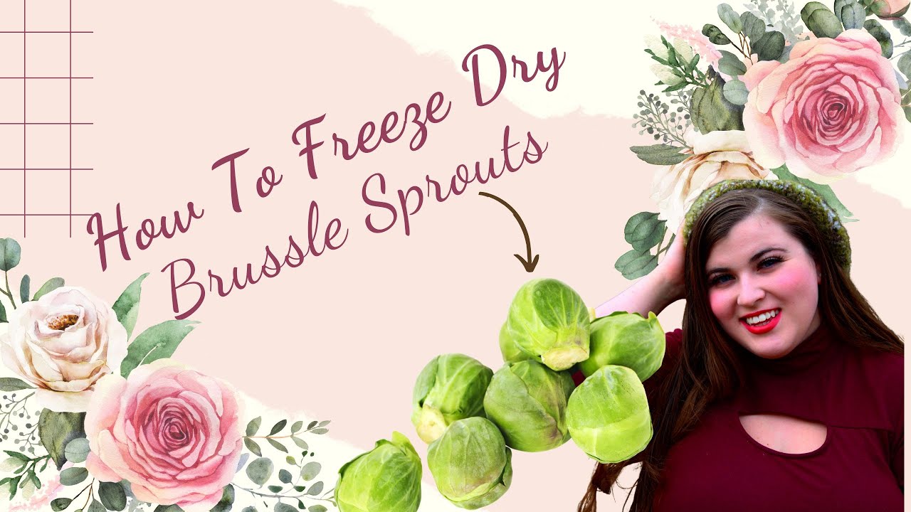 Freeze Drying Brussels Sprouts: A How-To Guide
