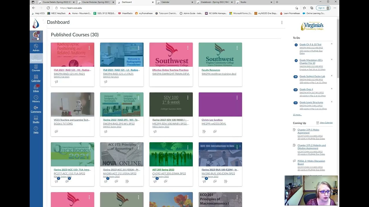 Canvas Accessibility Tutorial: Visibility Accessibility Options