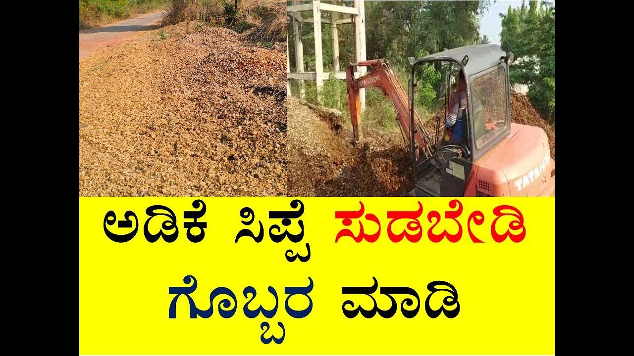 ಆಡಿಕೆ ಸಿಪ್ಪೆ ಸುಡಬೇಡಿ -ಗೊಬ್ಬರ ಮಾಡಿ#Arecanut #arecanut #betelnet#arecanut composting