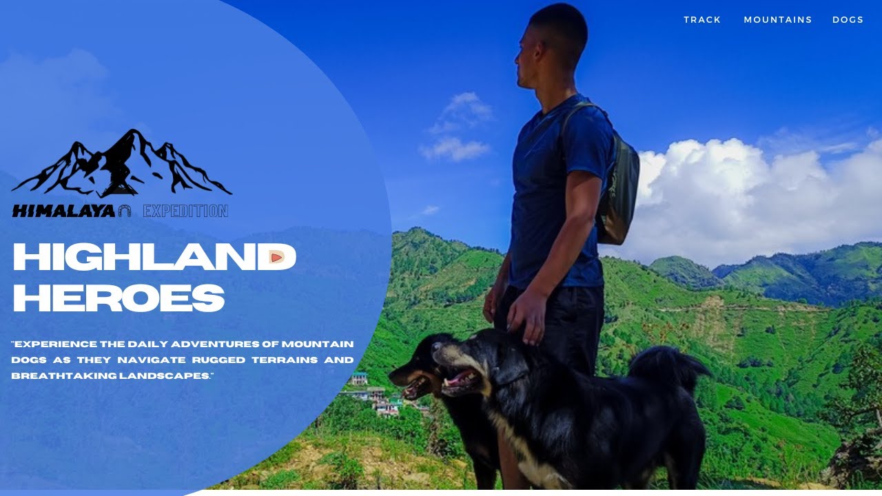 The Most Effective Hunters in the Animal Kingdom | Uttarakhand | #07