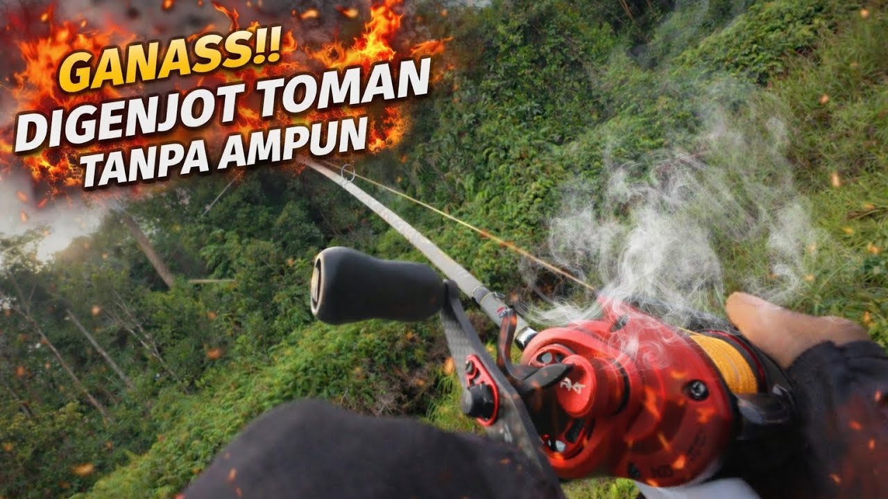 TOMAN BAR-BAR‼️ DIGENJOT TANPA AMPUN #tomanmonster 