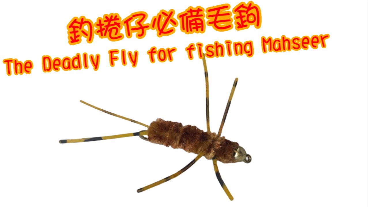 Deadly Fly Pattern for Mahseer 用了這款毛鉤，捲仔向你招手