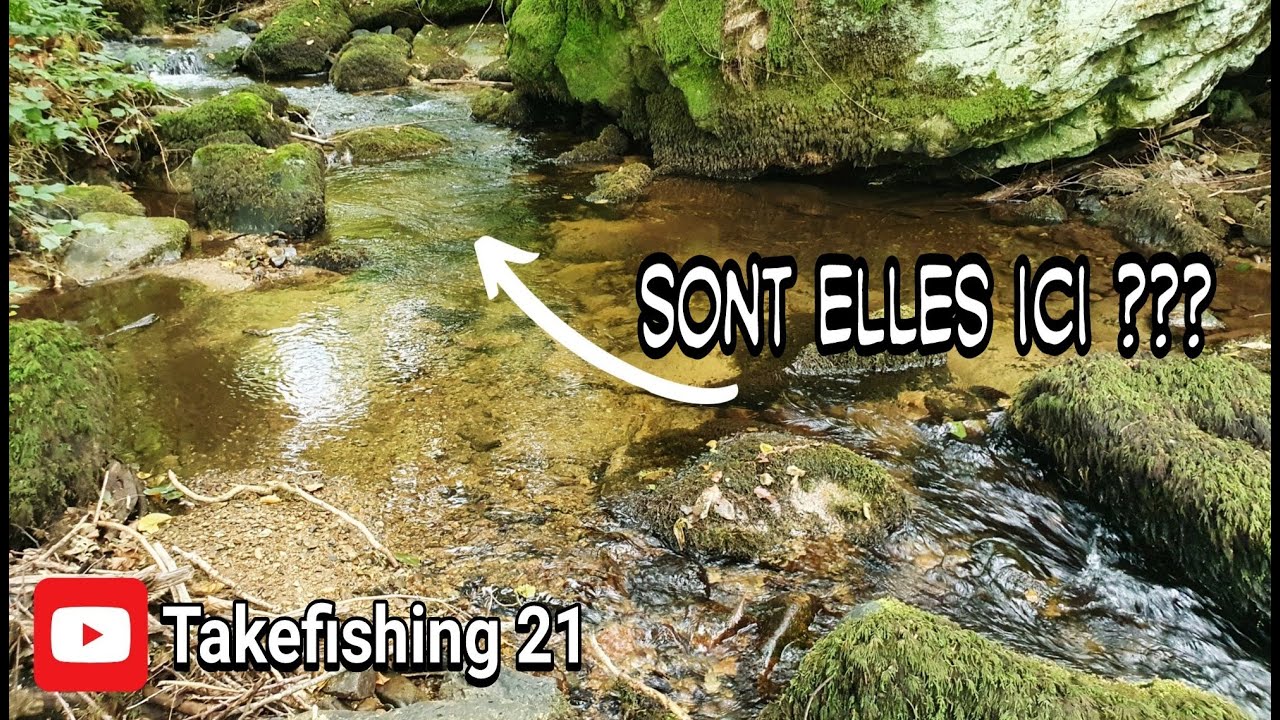 Fermeture de la truite 2022. Elles sont partout !!!