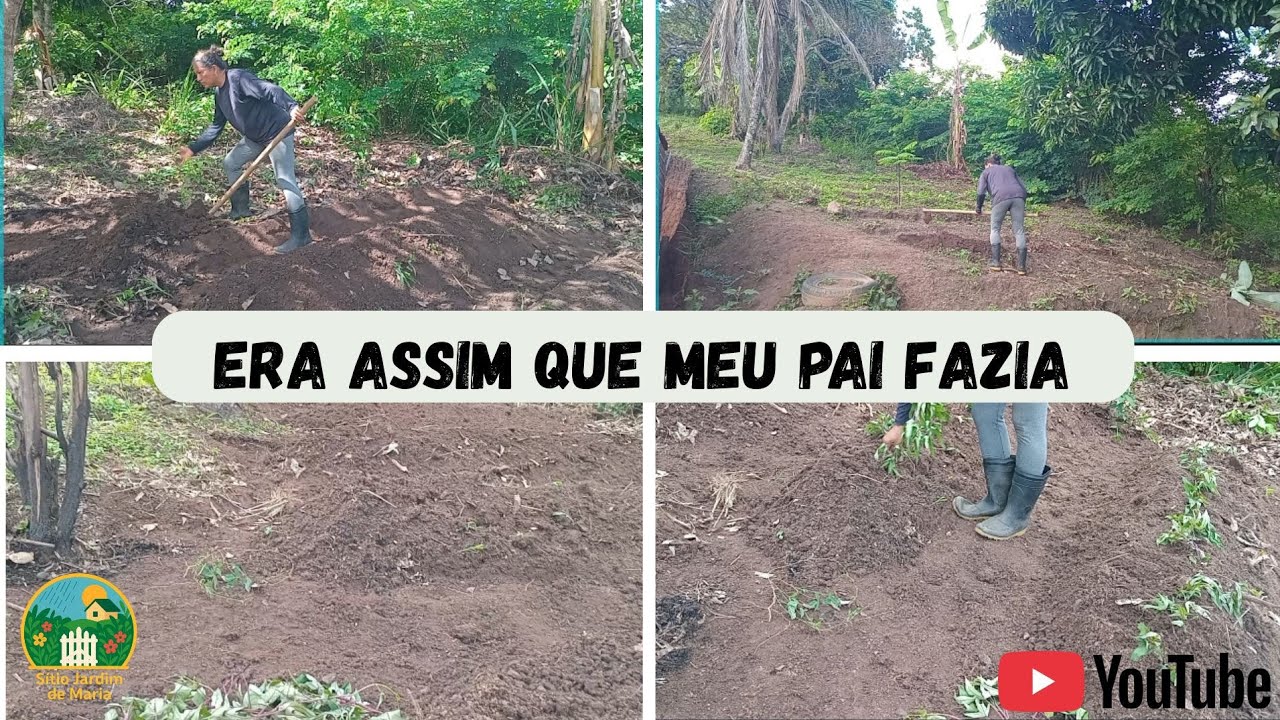 FAZENDO LEIRÃO MANUAL E PLANTANDO RAMA DE BATATA DOCE 