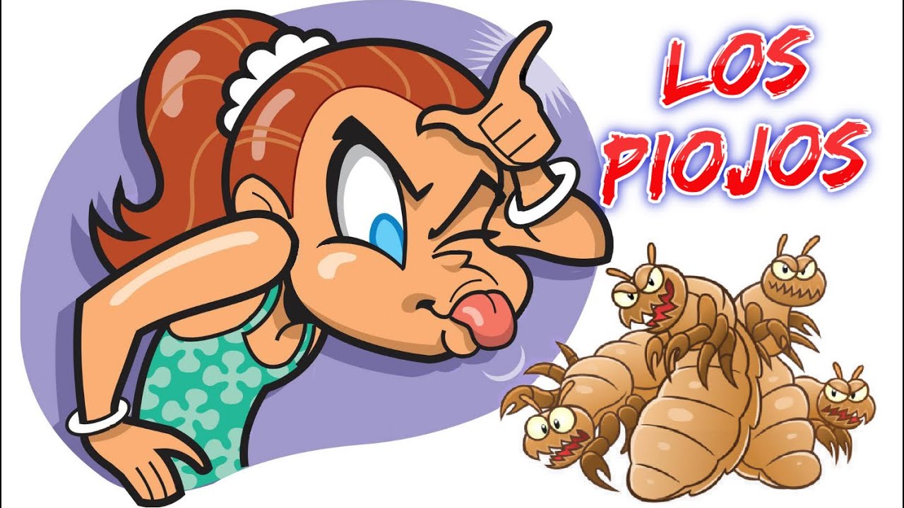 ¿Qué son los piojos? - ¿Cómo se contagian y cómo los combatimos?