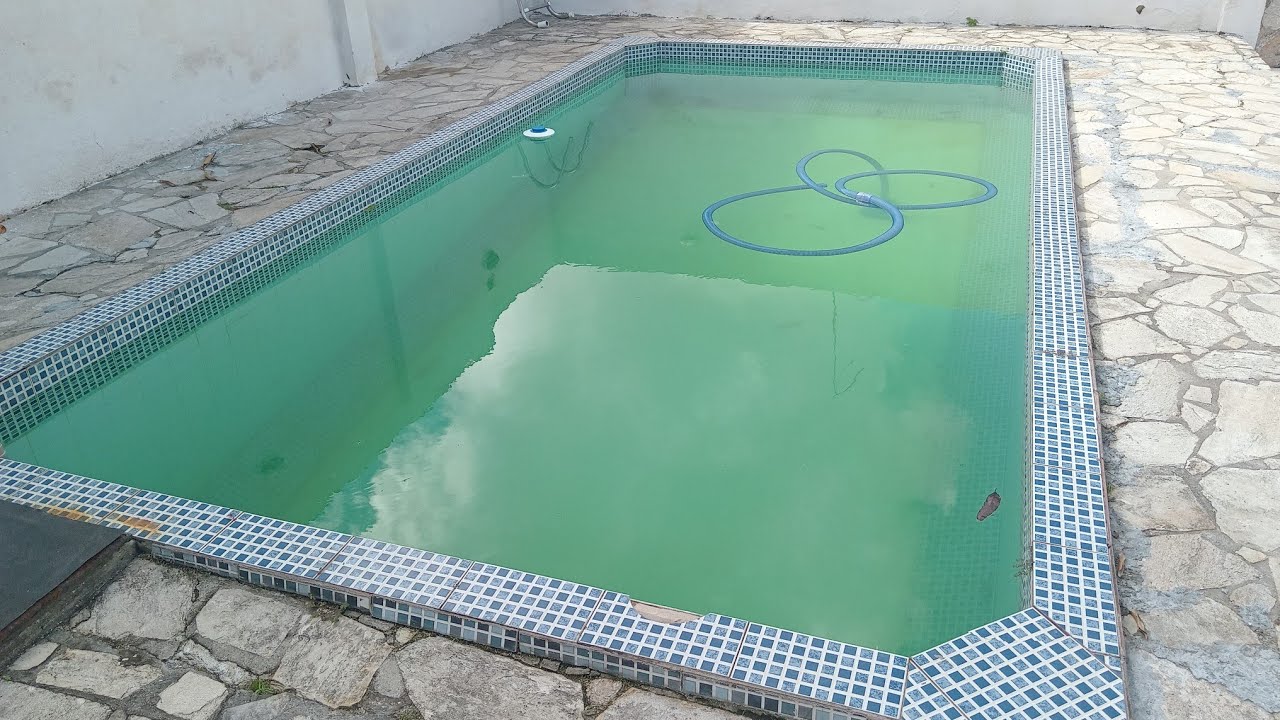 Missão Piscina Verde: O Guia Real para Deixar a Água Cristalina