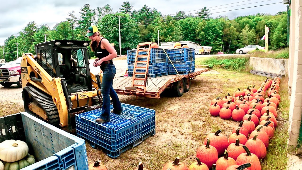 Farm store tour & making a pumpkin patch.