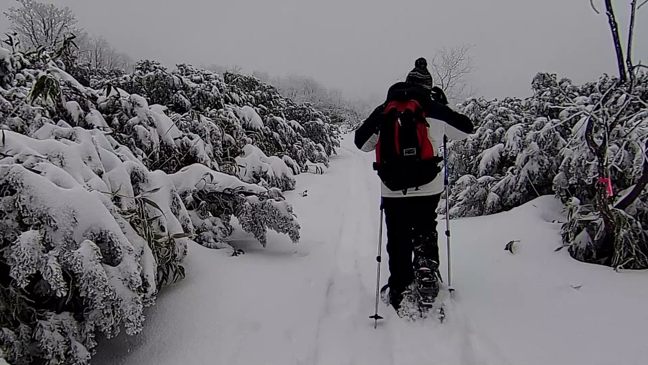 凌雲閣周辺の積雪状況　2021年11月16日