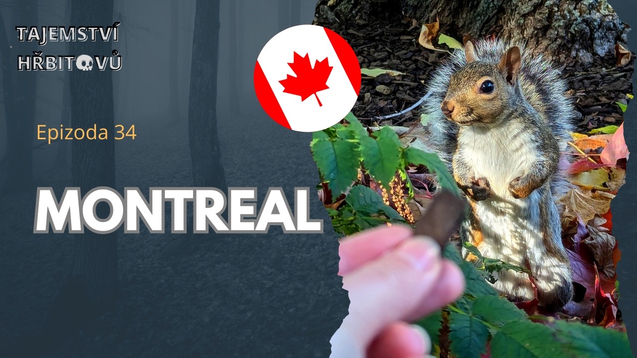 Montreal – Mount Royal Cemetery: Anglická elegance na hoře nad městem