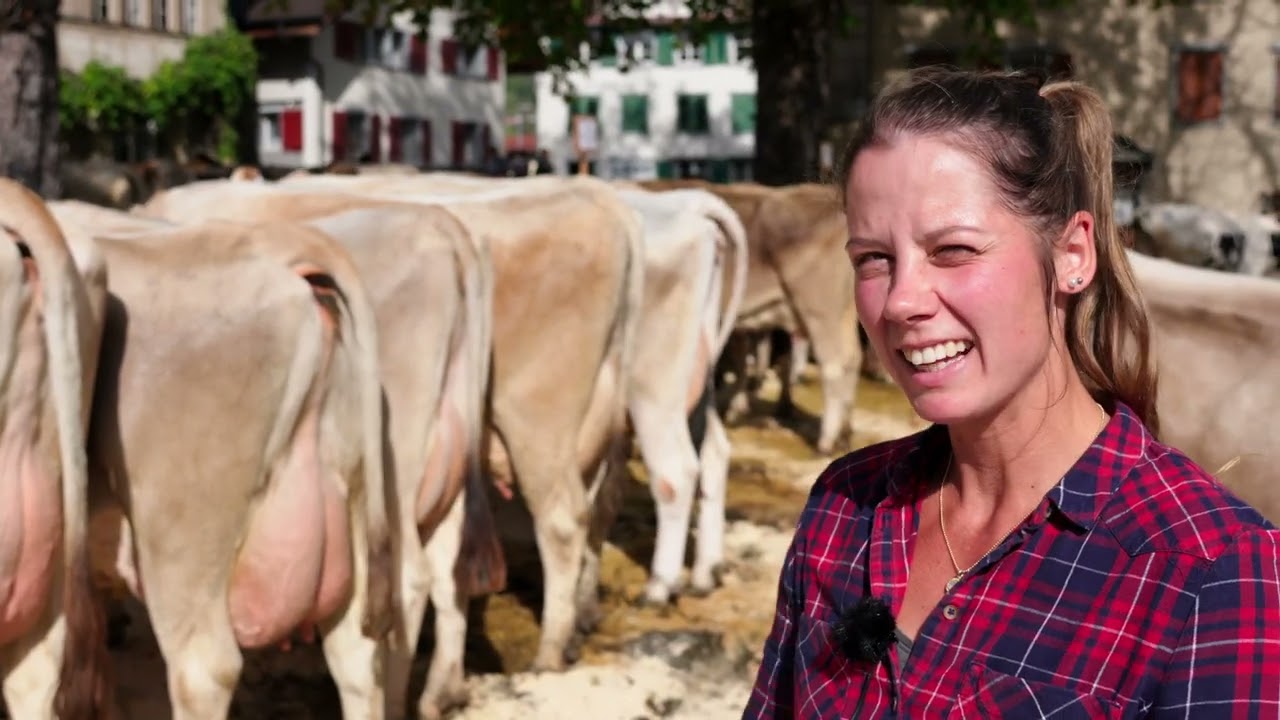 Tradition lebt: Stolze Rheintaler Bauern und ihr prächtiges Vieh – Ein Tag bei der Viehschau