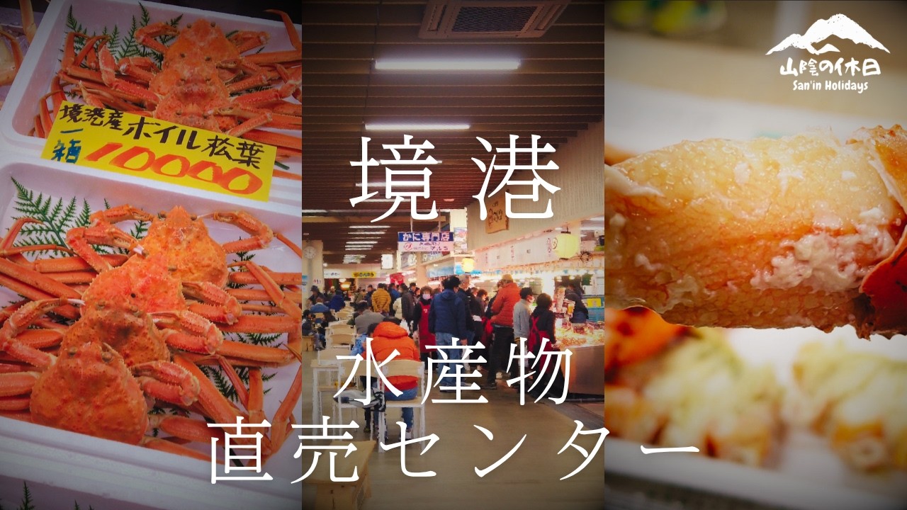 【境港グルメ】松葉ガニ解禁後の境港水産物直売センターをたっぷり満喫してきました。