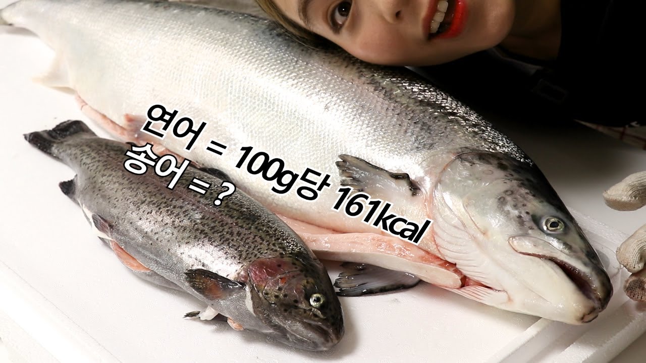 아니, 연어랑 송어가 대체 뭐가 다르다는거야?!