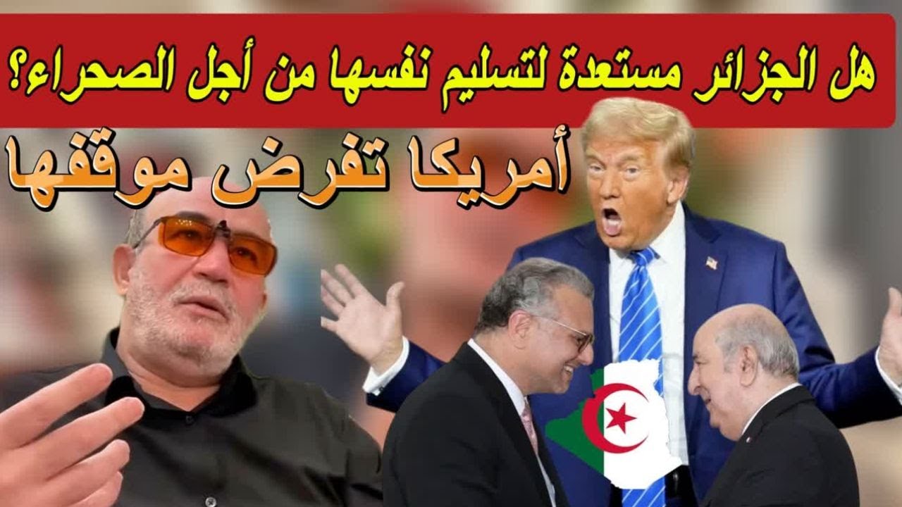 العربي زيتوت !  ما الذي يحدث؟ الجزائر مستعدة لكل شيء من أجل الصحراء