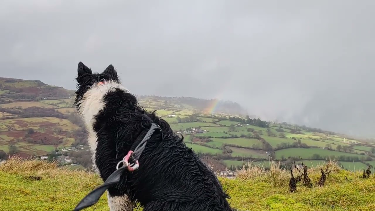 Gilwern Hill loop (a wet wander 🌧️) 
