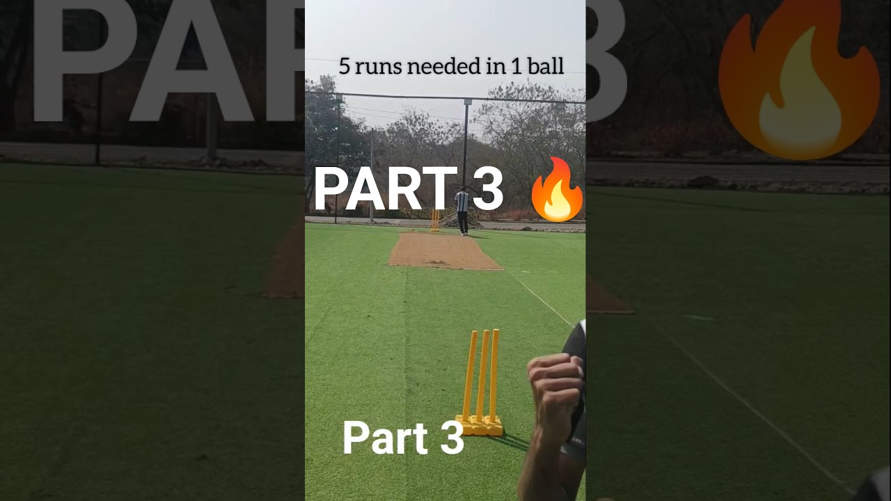 BROTHERVS BROTHER🔥Wait for the last ball 🏏 