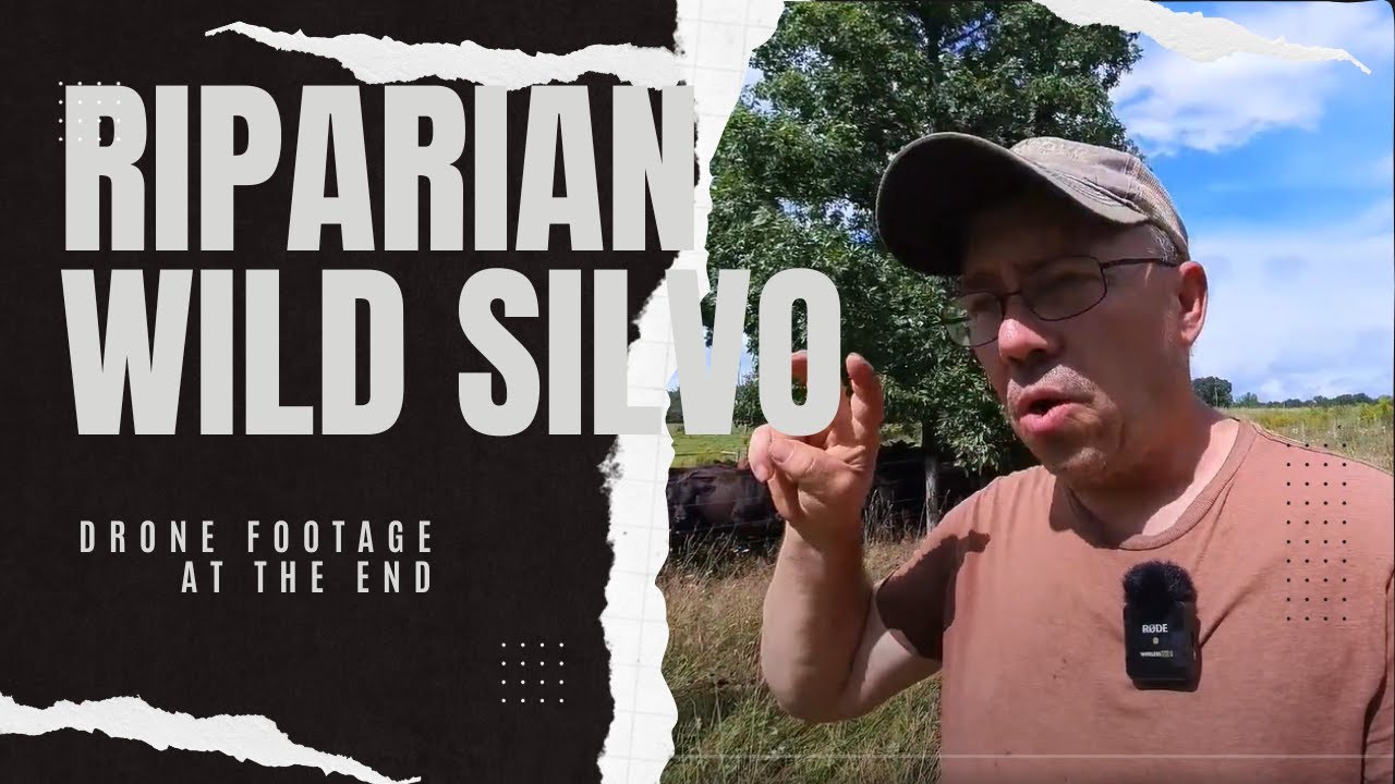 Riparian grazing and Wild Silvopasture W/Drone footage 