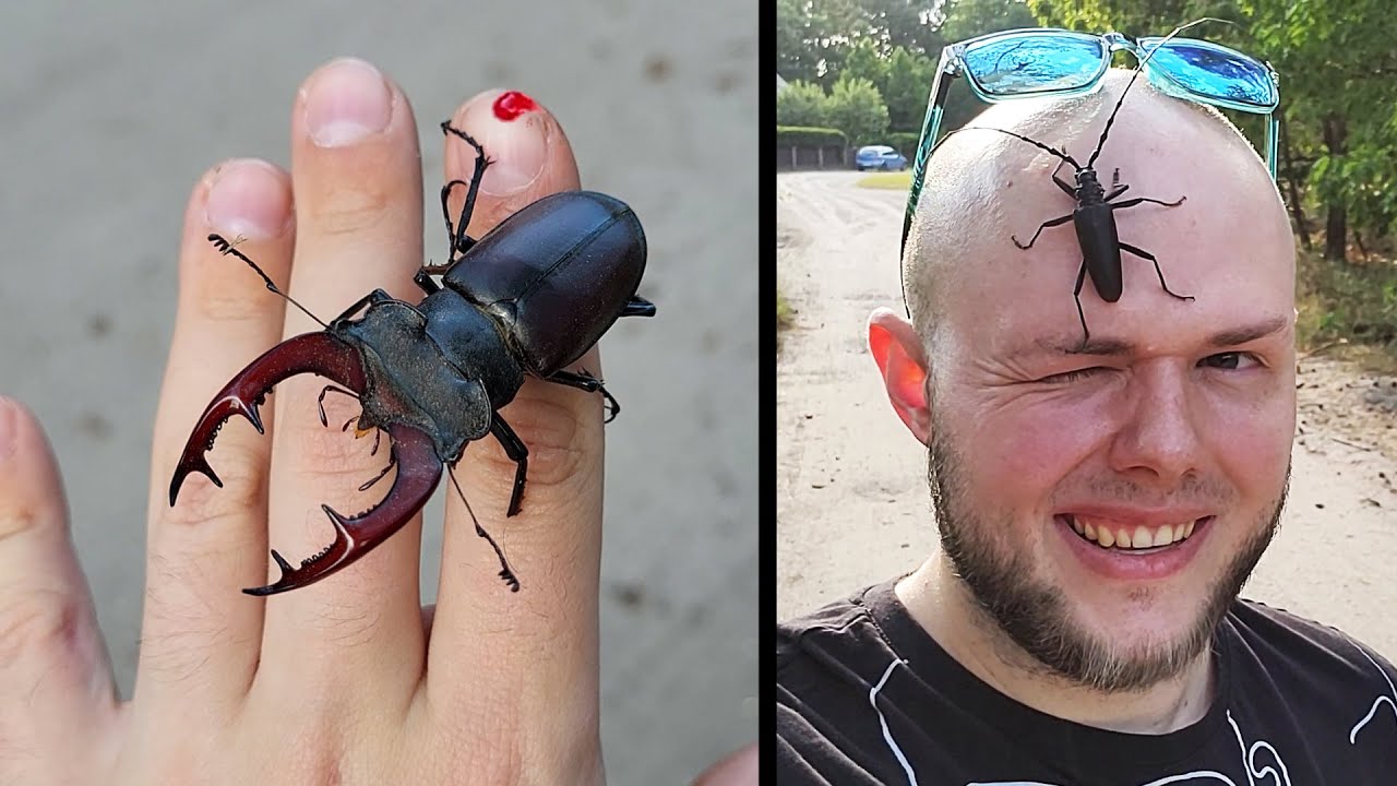 Wielkie 