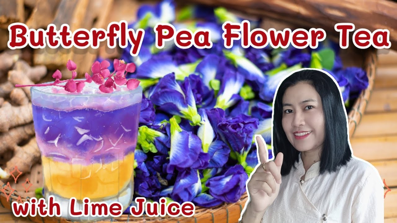 Butterfly Pea Flower Tea with Lime Juice to Improve Eyesight | A Thai Herbalist