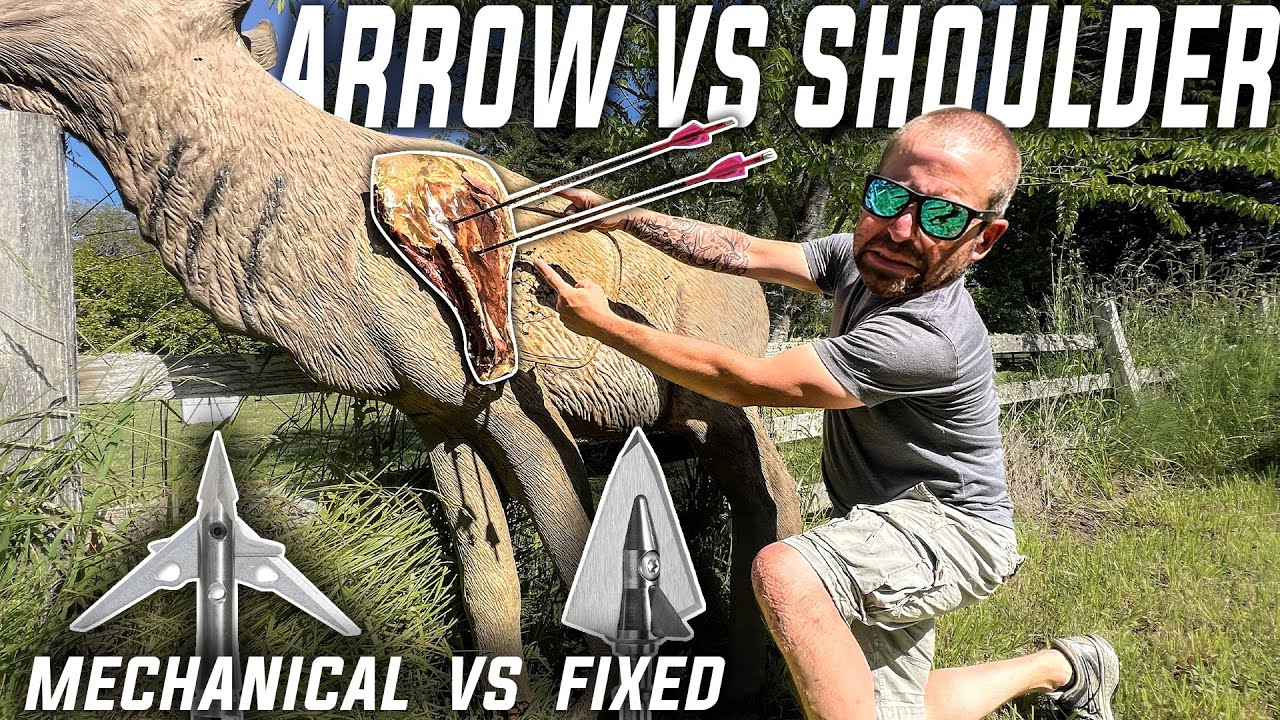 ELK SHOULDER BLADE VS BROADHEADS (Ballistics Gel Test)