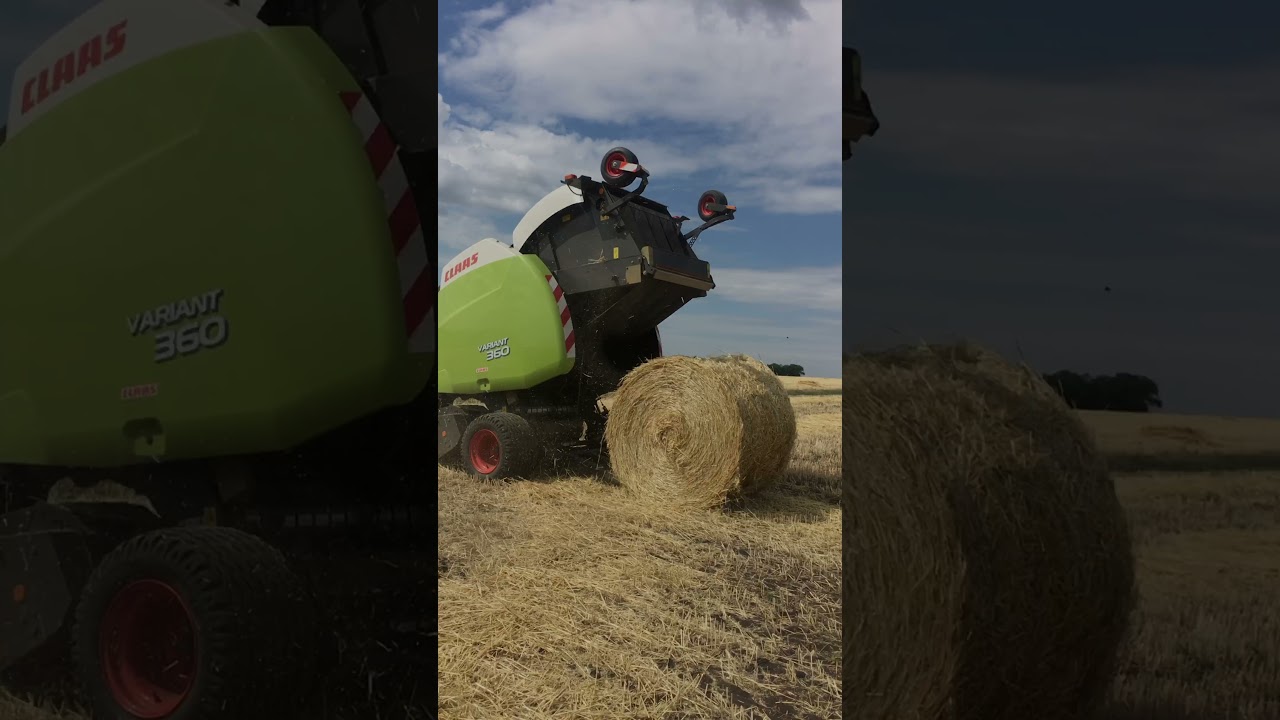 Заготовка кормов прессом Claas Variant 360