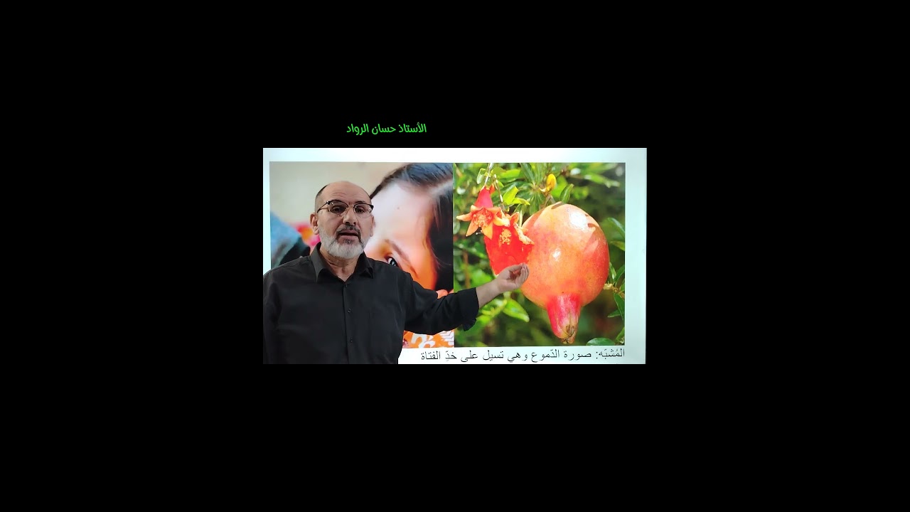 شرح بيت|بقية طل على جلنار| من درس التشبيه التمثيلي الجزء الثاني