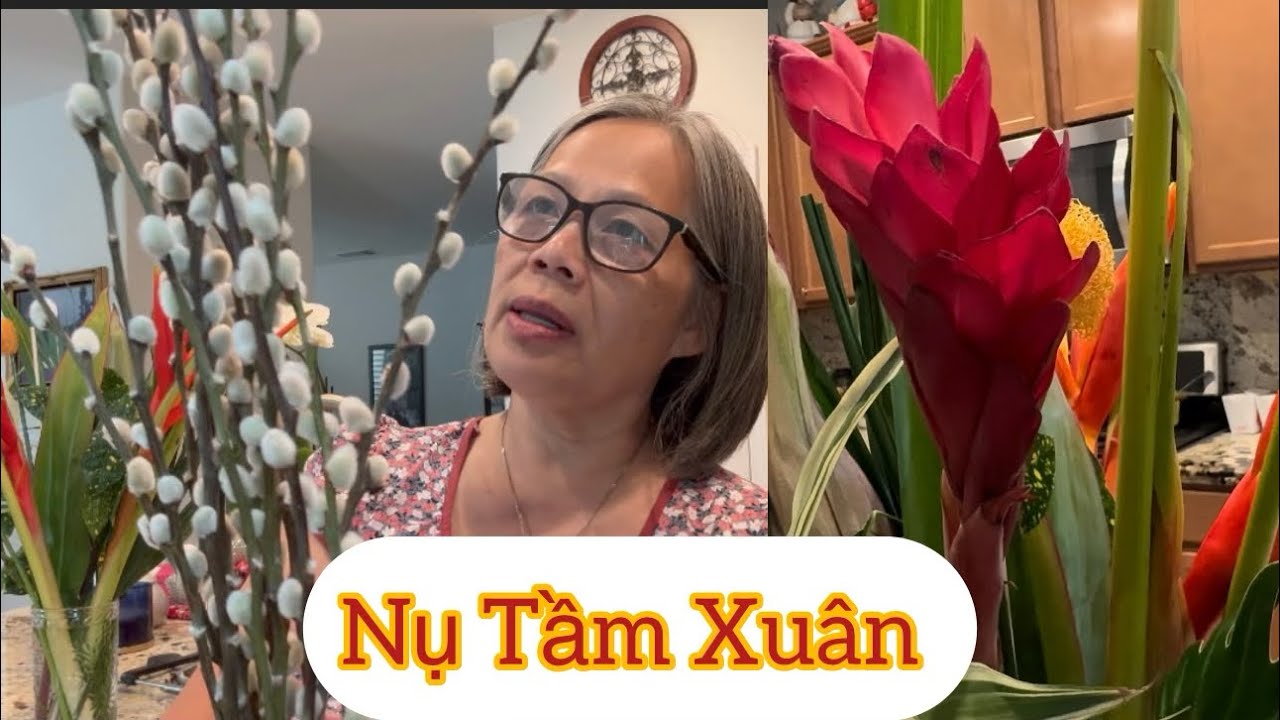 Vlog 638: Nụ Tầm Xuân Trồng Sân  Vườn Nhà 🏡 Lá 🍃 Xanh Đẹp Mãi Mãi