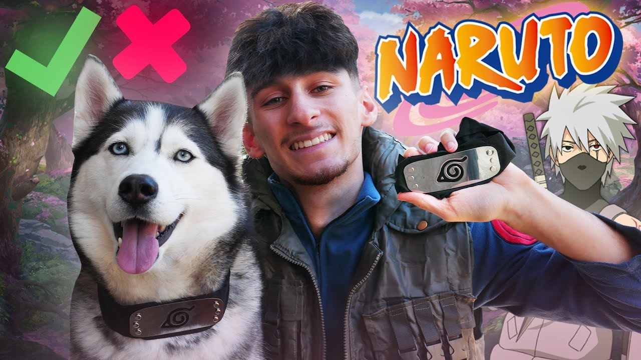 JE TEST L'INTELLIGENCE de ma HUSKY version NARUTO ! (le Chien de Kakashi ?!)