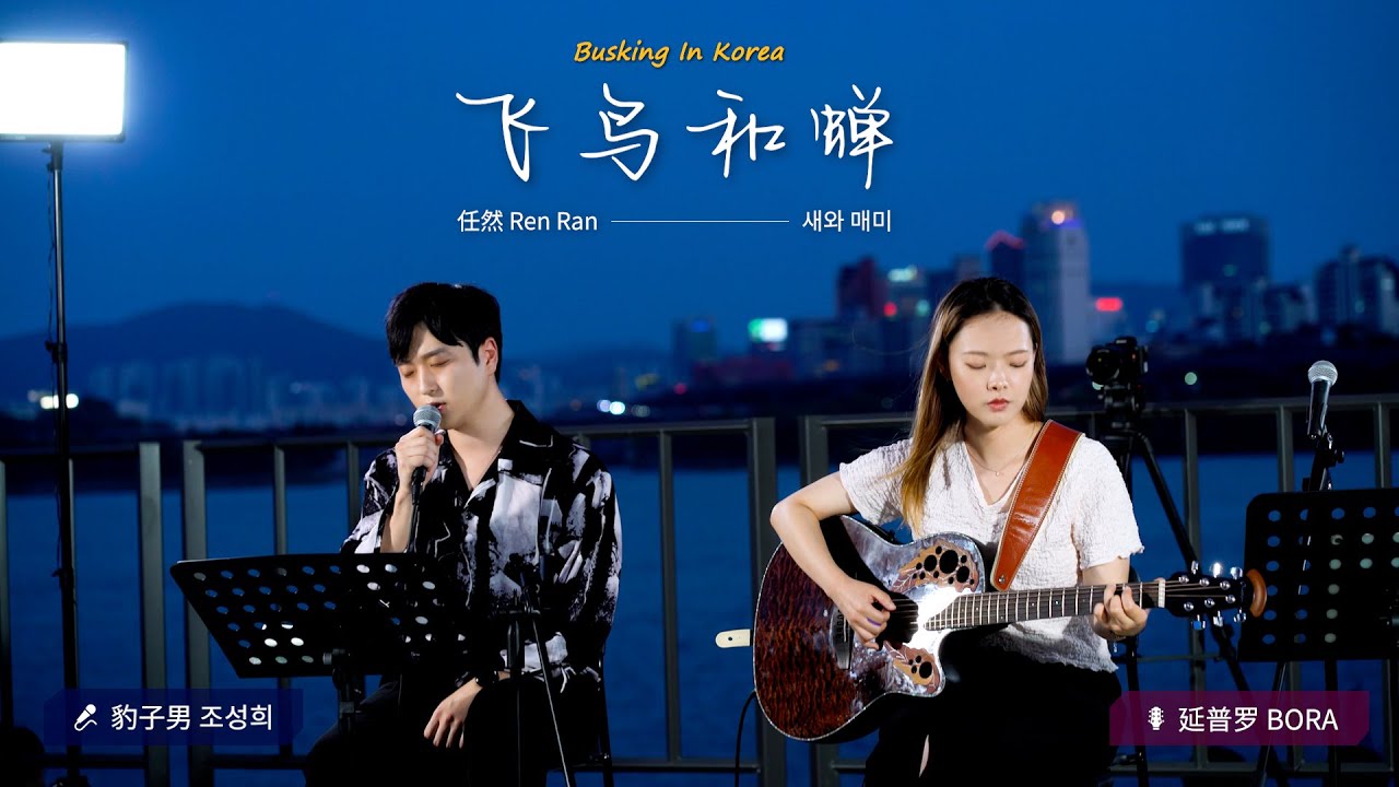 🎧在韩国街头唱中文歌｜任然 - 飞鸟和蝉（中韩版）｜豹子男 x 延普罗｜OUBA MUSIC