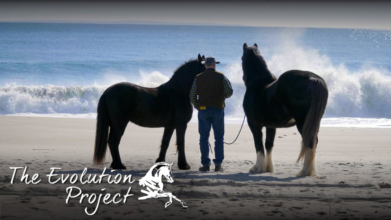 S1 E10: DES EMOTIONS ET DES CHEVAUX - Brian Sean Reid & Pierre Beaupère