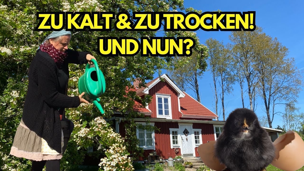 Selbstversorger-Hofleben in Schweden - Küken, Kälte & Kartoffeln