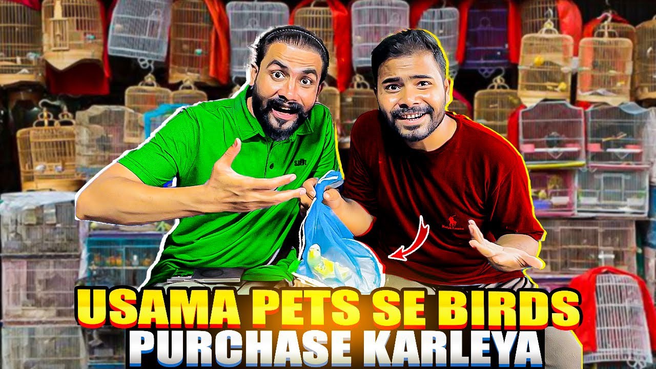 Usama Pets Se Birds Purchase Karleya 🥰 | Bacho K Mazay Agay 🥰